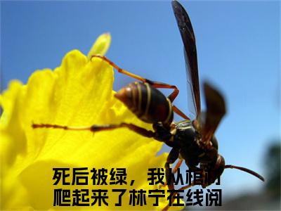 死后被绿，我从棺材爬起来了林宁（死后被绿，我从棺材爬起来了林宁）小说全文免费阅读无弹窗-死后被绿，我从棺材爬起来了林宁小说全文免费阅读大结局笔趣阁