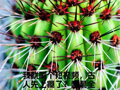 我就刷个短视频，古人先上瘾了？赵晨全文热榜小说已完结-热门小说已更新我就刷个短视频，古人先上瘾了？赵晨