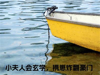 小夫人会玄学，携崽炸翻豪门免费阅读无弹窗，小说沈今今顾宴砚大结局全文免费阅读