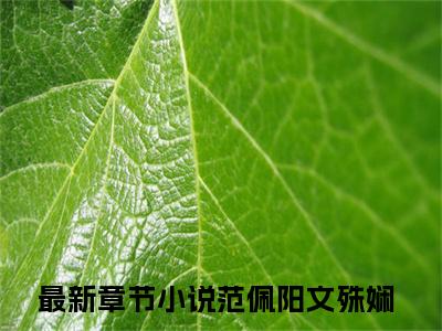 范佩阳文殊娴（范佩阳文殊娴小说）全文免费阅读无弹窗大结局_范佩阳文殊娴小说最新章节列表_笔趣阁（范佩阳文殊娴）