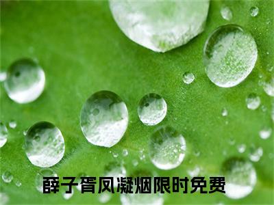 薛子胥凤凝烟宝藏小说推荐薛子胥凤凝烟-薛子胥凤凝烟完整免费阅读小说