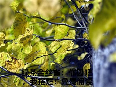 绿茶金丝雀：你囚吧，我摆烂！（祁砚峥池哩）全文免费阅读_（绿茶金丝雀：你囚吧，我摆烂！）祁砚峥池哩最新章节小说免费阅读_笔趣阁
