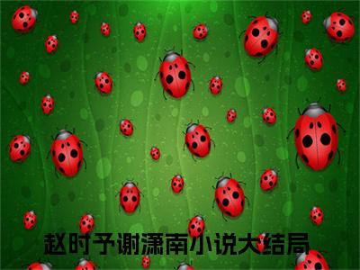 赵时予谢潇南的小说全文免费阅读，小说名字是赵时予谢潇南的小说全资源免费阅读结局无删节