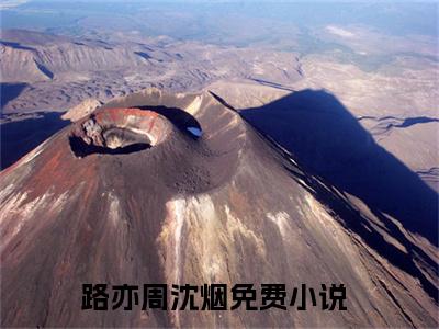 入夜缠吻，路少的小娇娇别逃了小说（路亦周沈烟）全文免费阅读无弹窗大结局_（入夜缠吻，路少的小娇娇别逃了免费阅读全文大结局）最新章节列表