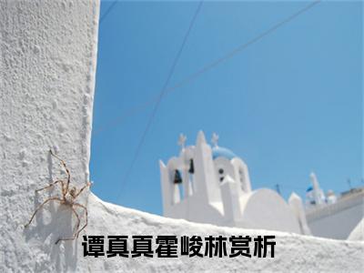 谭真真霍峻林(谭真真霍峻林)全文免费阅读无弹窗大结局_谭真真霍峻林