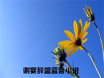 谢宴辞盛蓝音小说(谢宴辞盛蓝音)全文免费阅读无弹窗大结局_(谢宴辞盛蓝音免费阅读全文大结局)最新章节列表_笔趣阁（谢宴辞盛蓝音）