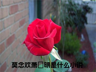 莫念欢萧旻明超受欢迎小说-莫念欢萧旻明全文在线赏析