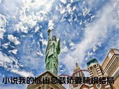 我的冰山总裁娇妻林枫全文+后续（我的冰山总裁娇妻林枫）全文免费阅读无弹窗大结局_（我的冰山总裁娇妻林枫全文+后续免费阅读无弹窗）我的冰山总裁娇妻林枫全文+后续最新章节列表_笔趣阁（我的冰山总裁娇妻林枫）