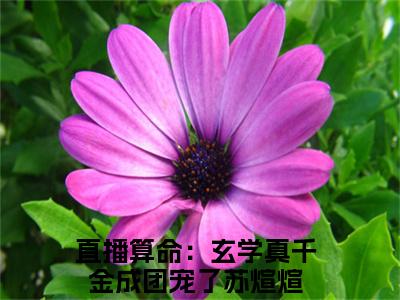 直播算命：玄学真千金成团宠了苏煊煊（直播算命：玄学真千金成团宠了苏煊煊小说全文）在线阅读无弹窗大结局-直播算命：玄学真千金成团宠了苏煊煊全文无删减版阅读