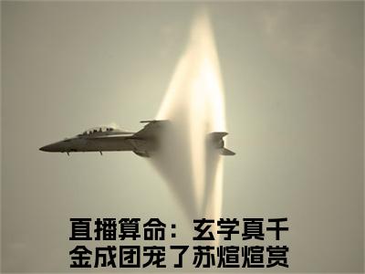直播算命：玄学真千金成团宠了苏煊煊免费完结小说-直播算命：玄学真千金成团宠了苏煊煊在线阅读全文（直播算命：玄学真千金成团宠了苏煊煊）