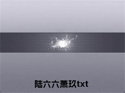 陆六六萧玖小说免费下载（陆六六萧玖完整全集已完结大结局小说）_陆六六萧玖免费阅读