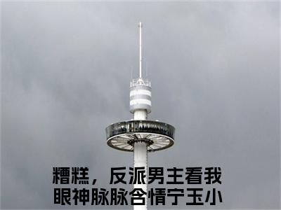 糟糕，反派男主看我眼神脉脉含情宁玉的书名 糟糕，反派男主看我眼神脉脉含情宁玉免费章节阅读