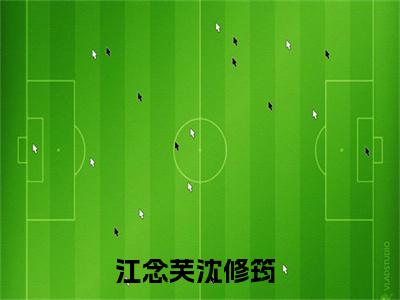 【新书】江念芙沈修筠全文全章节免费阅读-江念芙沈修筠小说免费阅读无弹窗最新章节列表