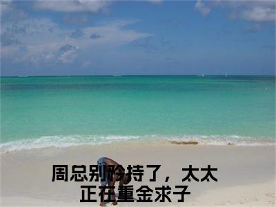 周总别矜持了，太太正在重金求子小说在线阅读姜南星周醉无广告小说免费在线阅读（免费）+（结局）