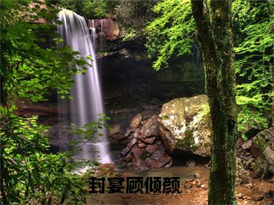 暖春入帐（封宴顾倾颜）全文免费阅读无弹窗_暖春入帐:封宴顾倾颜最新小说_笔趣阁