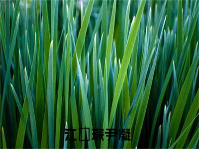 江伝琛尹凝多人推荐-好看的小说第七根肋骨完整版免费阅读