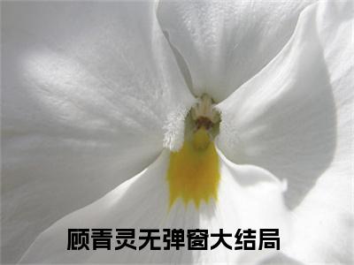 女尊：女帝的绝色男妃（顾青灵）全文免费阅读无弹窗大结局_（顾青灵）女尊：女帝的绝色男妃全文免费完结版阅读