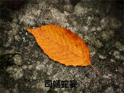 司嫣蛇妄免费完结小说-兽世种田：反派崽崽超粘人（司嫣蛇妄）在线阅读全文（司嫣蛇妄）