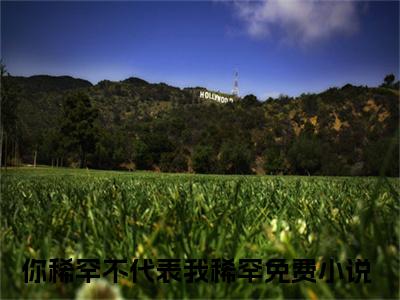 孟苏若裴沐行（你稀罕不代表我稀罕）全文免费阅读无弹窗大结局_孟苏若裴沐行最新章节列表