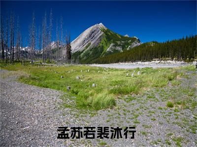 你稀罕不代表我稀罕（孟苏若裴沐行）全文免费阅读无弹窗大结局_（你稀罕不代表我稀罕阅读无弹窗）孟苏若裴沐行最新章节列表