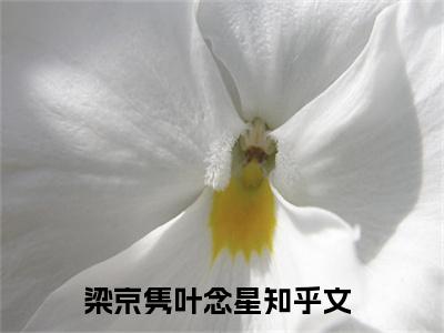 梁京隽叶念星（我的爱情，死在了那个夏天）全文免费阅读_我的爱情，死在了那个夏天全文阅读_笔趣阁