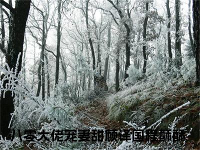 八零大佬宠妻甜小说全文免费阅读顾译国程酥酥免费完整版阅读