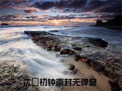 爱到深处彩知心（沈婳初钟南封）全文免费阅读无弹窗大结局_（爱到深处彩知心）最新章节列表_沈婳初钟南封
