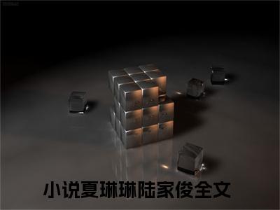 夏琳琳陆家俊（骄阳洒向我）全文免费阅读无弹窗大结局_夏琳琳陆家俊小说全文免费阅读最新章节列表（骄阳洒向我）