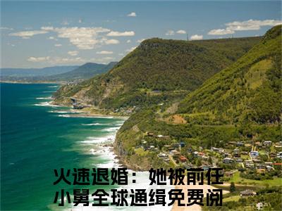 （结局）+（免费）火速退婚：她被前任小舅全球通缉是哪部小说的主角，夏星冉时景遇全文在线赏析