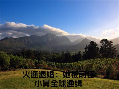 小说（夏星冉时景遇）全文免费阅读_（火速退婚：她被前任小舅全球通缉）小说全文免费阅读