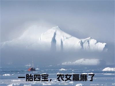 王七染小说最新试读_一胎四宝，农女赢麻了是（王七染全文完整版免费阅读）_笔趣阁