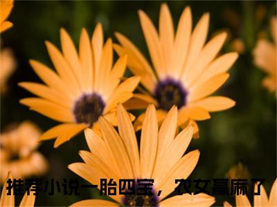 主角为一胎四宝，农女赢麻了的小说-王七染（一胎四宝，农女赢麻了）全文完整版阅读
