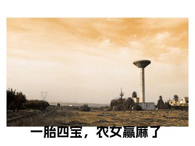 王七染精彩小说（一胎四宝，农女赢麻了）在哪免费看-小说（一胎四宝，农女赢麻了）全文完整版免费阅读