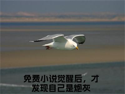 常玉凤董志芳（觉醒后，才发现自己是炮灰）小说全文免费阅读无弹窗-常玉凤董志芳全章节在线阅读