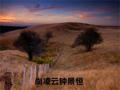 尚凌云钟景恒小说全文-尚凌云钟景恒小说尚凌云钟景恒免费阅读大结局