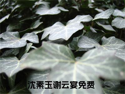 沈素玉谢云宴全文免费阅读无弹窗大结局_沈素玉谢云宴小说免费阅读完整版全文大结局