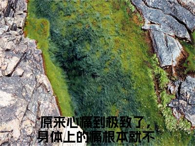 原来心痛到极致了，身体上的痛根本就不值一提（颜萝）全文免费阅读无弹窗大结局_原来心痛到极致了，身体上的痛根本就不值一提免费阅读无弹窗最新章节列表_笔趣阁