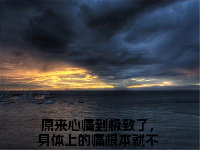 颜萝全文免费阅读无弹窗大结局_（颜萝）最新章节列表笔趣阁（原来心痛到极致了，身体上的痛根本就不值一提）