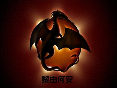无处安放（黎由何安）免费小说全文完整版-黎由何安最新章节完整版阅读