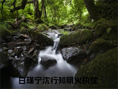 明火执仗（白瑾宁沈行知全文免费大结局）在线阅读-白瑾宁沈行知全文无删减免费赏析
