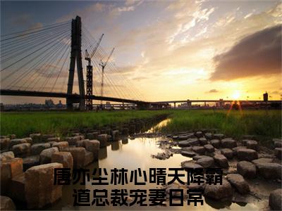 唐亦尘林心晴小说在线阅读全文无弹窗大结局_天降霸道总裁宠妻日常小说免费最新章节列表（全文）+（后续）