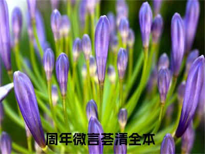 周年微言荟清小说免费阅读-（周年微言荟清）言情小说讲的是什么