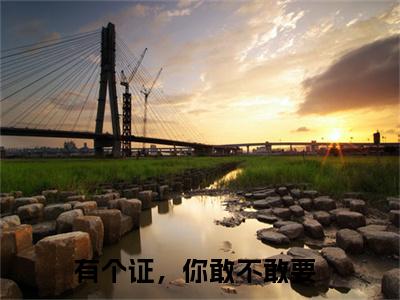 舒衍许锦云（有个证，你敢不敢要小说全文）在线阅读无弹窗大结局-舒衍许锦云全文无删减版阅读