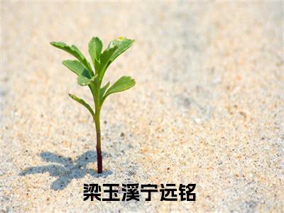 梁玉溪宁远铭（梁玉溪宁远铭小说）全文免费阅读无弹窗大结局_(梁玉溪宁远铭小说免费阅读)最新章节列表