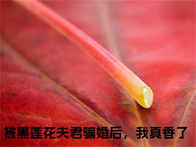 池鹿眠裴瑾寒阅读无弹窗大结局_被黑莲花夫君骗婚后，我真香了穿越小说免费阅读_笔趣阁