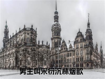 宋衍沉林烟歆的小说全文免费阅读无弹窗，宋衍沉林烟歆的小说在线免费阅读大结局