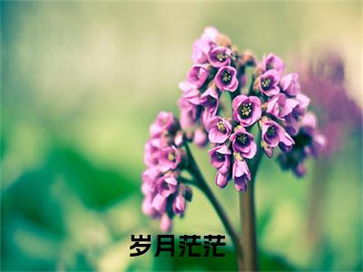岁月茫茫（周若欢祁司恒）全文免费阅读无弹窗大结局_周若欢祁司恒免费最新章节列表_笔趣阁
