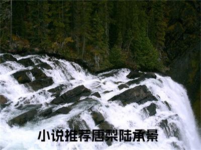 唐梨陆承景热门小说 全文免费阅读无弹窗大结局-唐梨陆承景全文无弹窗免费阅读大结局