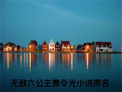 无敌六公主萧令光（无敌六公主萧令光）全文免费阅读无弹窗大结局_（无敌六公主萧令光）最新章节列表笔趣阁