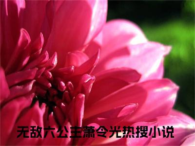 无敌六公主萧令光后续+番外（无敌六公主萧令光）全文免费阅读无弹窗大结局_无敌六公主萧令光后续+番外免费阅读_笔趣阁（无敌六公主萧令光后续+番外）